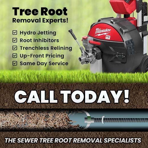 Sewer Tree Root Removal Specialists In Rochester